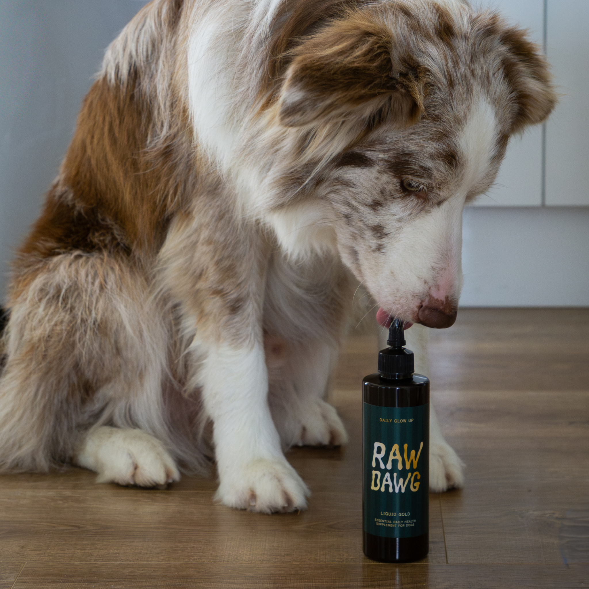 Dog enjoying RawDawg supplement