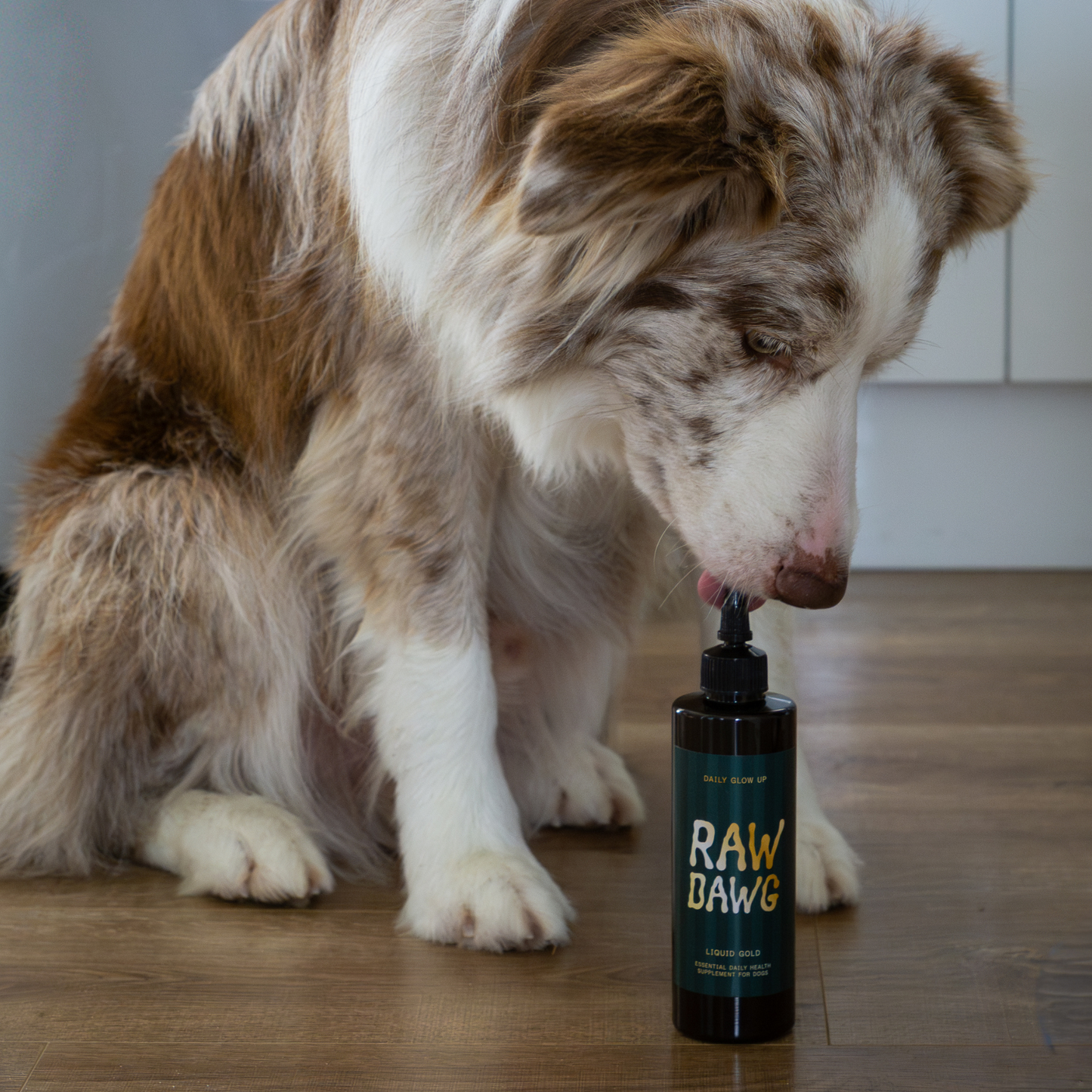 LIQUID GOLD. Essential Daily Health Supplement.