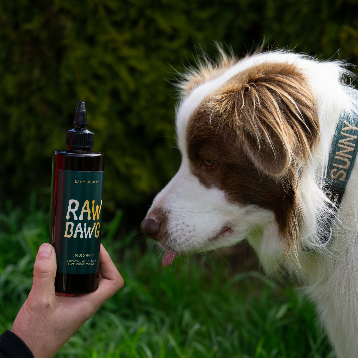 LIQUID GOLD. Essential Daily Health Supplement.